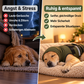 PfotenKlar RuheWeste™ 2-in-1 Beruhigungssystem für Hunde